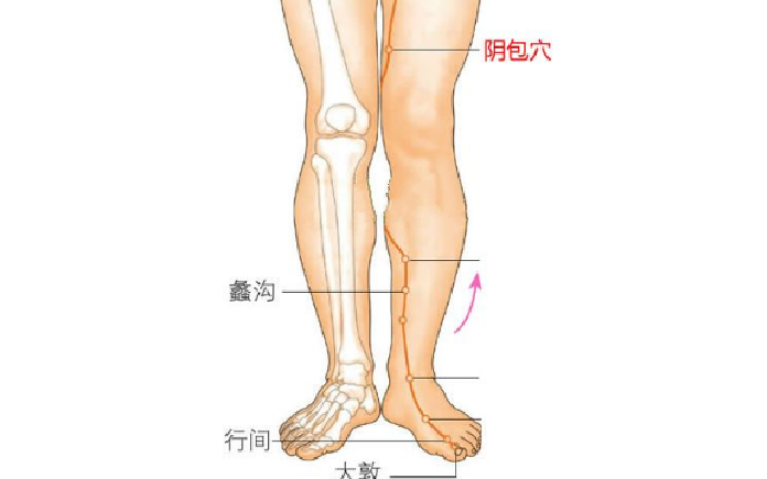 阴包穴的功效与作用