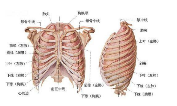 肺、胸膜阿米巴病的诊断方法