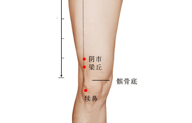 阴市穴主治疾病