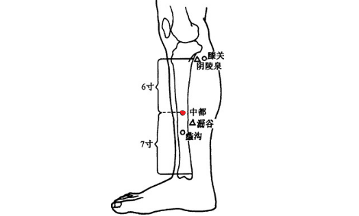 中都穴的位置