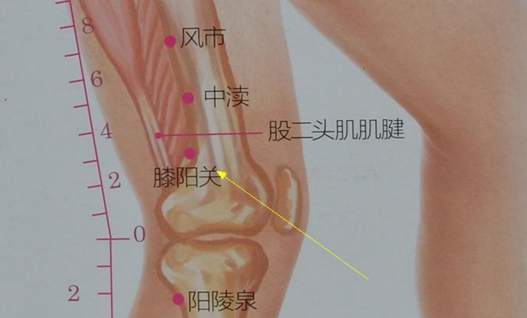 中渎穴的取穴方法