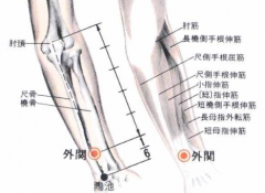 中医按摩外关穴的好处及其外关穴的功效与作用介绍！