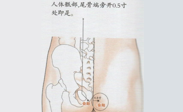 会阳穴取穴方法