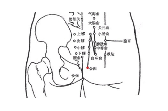 会阳穴的图片