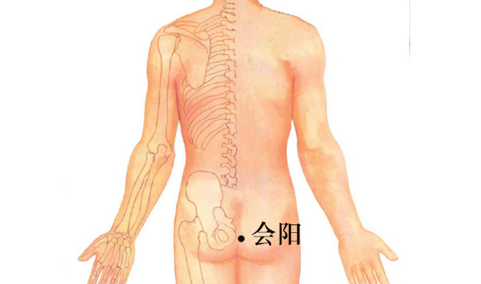 会阳穴主治疾病