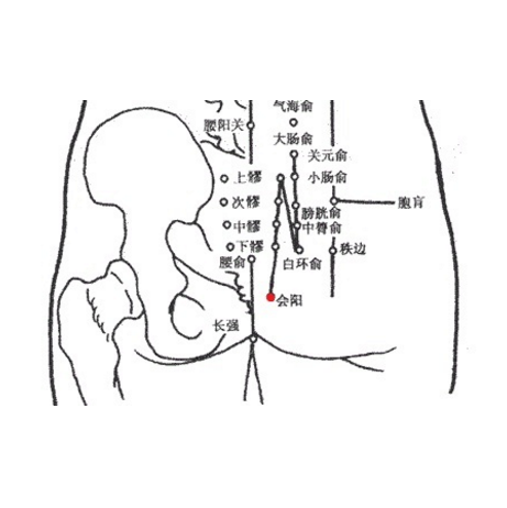按摩会阳穴可治疗痔疮，它的准确位置及其功效与作用有哪些！