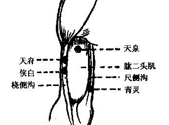 侠白穴主治疾病