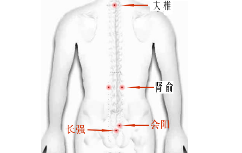 长强穴位置