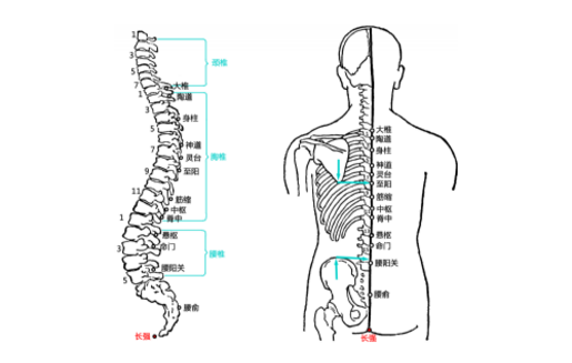 长强穴穴位配伍