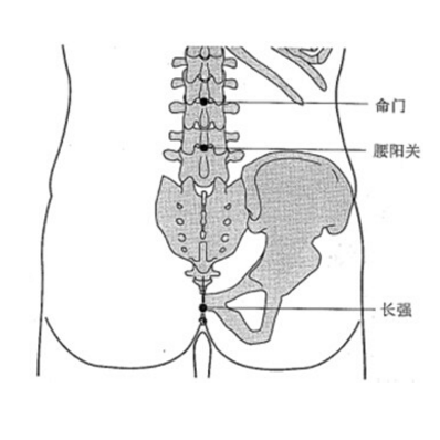 按摩长强穴可治疗痔疮，它的准确位置及其功效与作用有哪些？