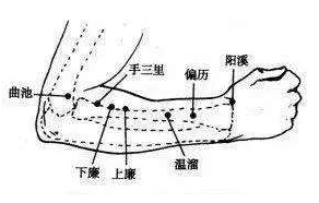 下廉穴的图片