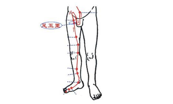 足五里穴的准确位置及其按摩的功效与作用有哪些?