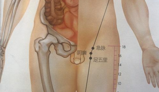 足五里穴位置