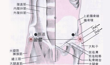 居髎穴位置