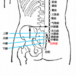 白环俞穴的准确位置在哪？它的取穴方法及其功效与作用有哪些？