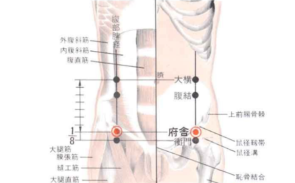 府舍穴的功效与作用