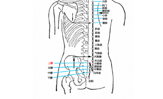 上髎穴图片