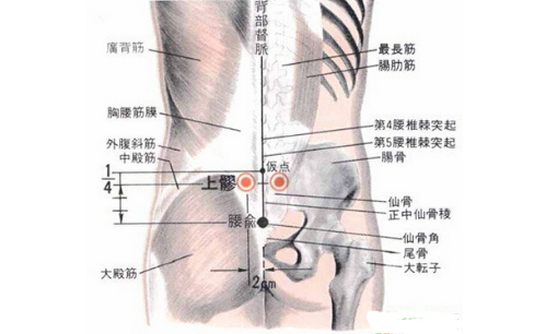 上髎穴位置