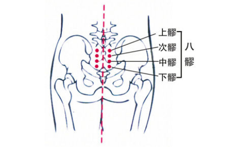 上髎穴的功效与作用