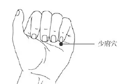 少府穴的功效与作用