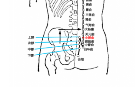 小肠俞穴图片