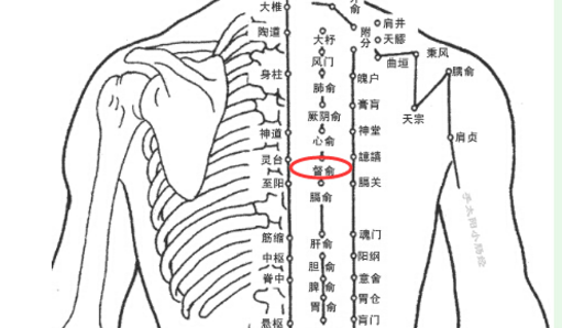 督俞穴位置