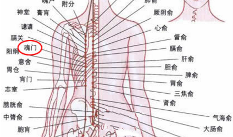 按摩魂门穴的好处