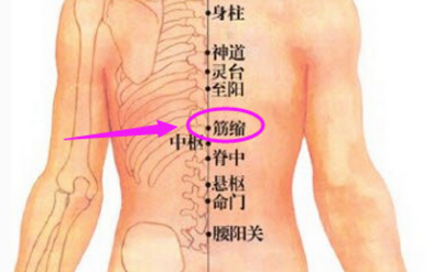 筋缩穴穴位配伍