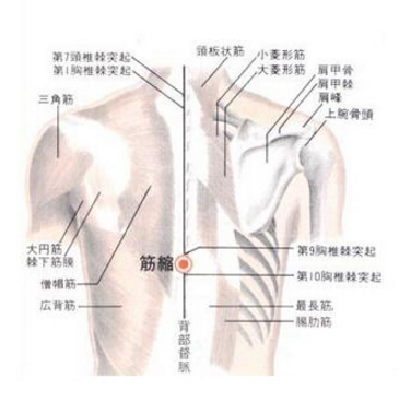 筋缩穴的准确位置在哪？筋缩穴的按摩方法及功效与作用有哪些？