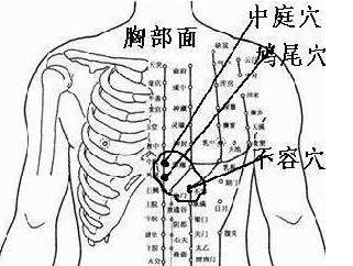 不容穴的图片