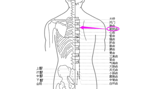 厥阴俞穴位置