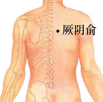 厥阴俞穴的准确位置在哪？按摩厥阴俞穴的作用及配伍应用方法有哪些？