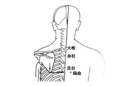 灵台穴的图片