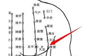 食窦穴位位置