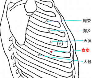 食窦穴的位置