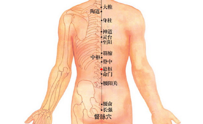 悬枢穴的按摩方法