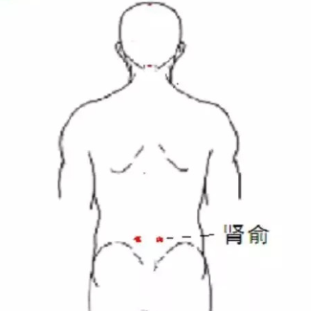 肾俞穴的准确位置在哪？中医教你按摩肾俞穴竟能缓解缓解腰酸背痛！