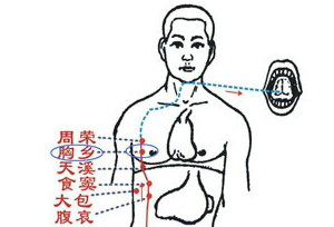 胸乡穴的图片