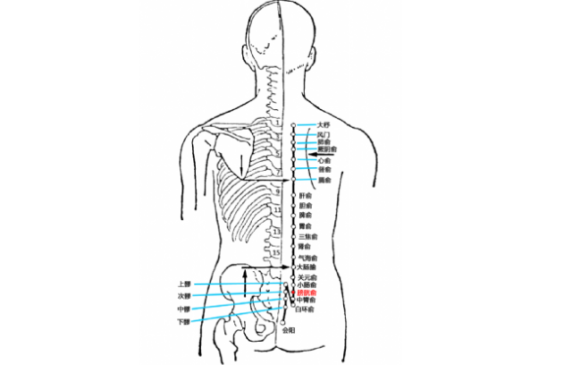 膀胱俞穴的按摩方法
