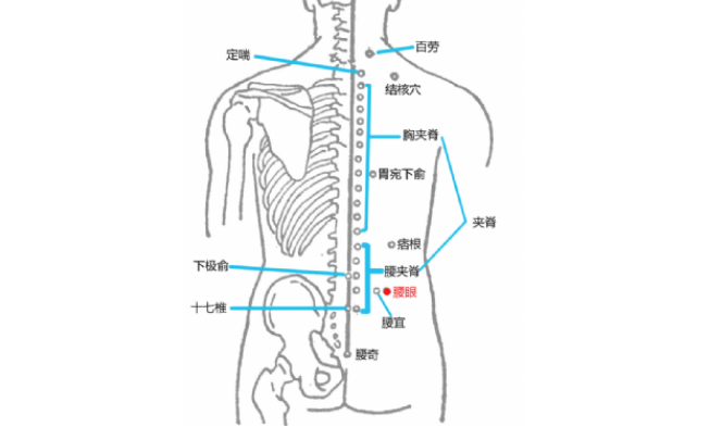 腰眼穴的图片