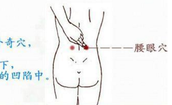 腰眼穴的功效与作用