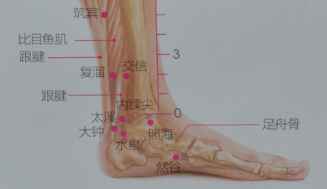 照海穴位置