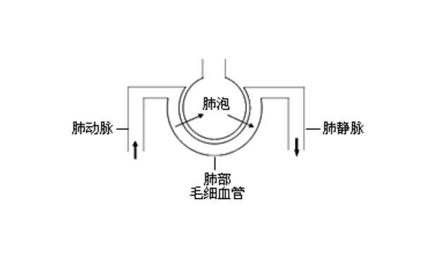 肺泡-毛细血管阻滞综合征的症状