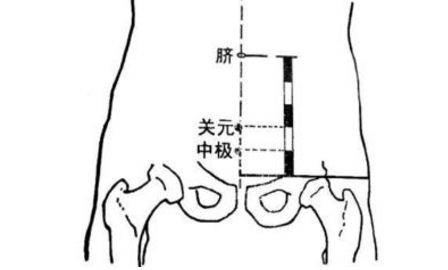 中极穴主治疾病