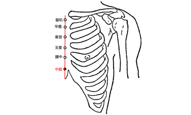 中庭穴位置