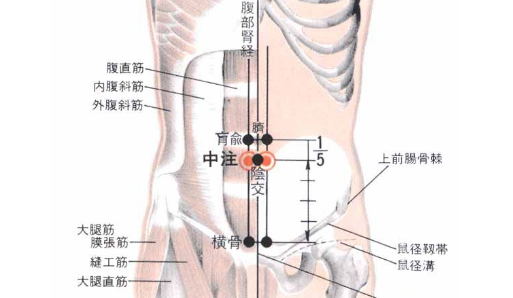 中注穴的功效与作用