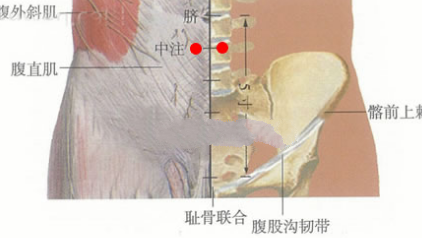 中注穴主治疾病