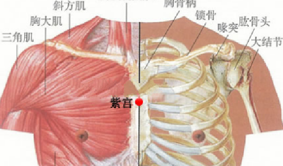 紫宫穴的功效与作用