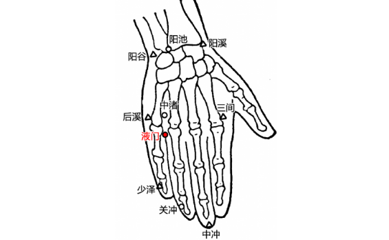 液门穴的图片
