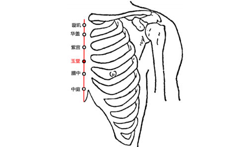 玉堂穴位置